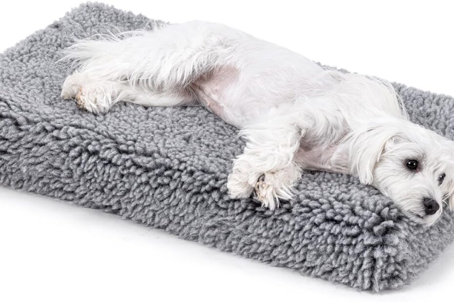 Ultimate Comfort & Durability: Stoutwool Indestructible Dog Bed Review