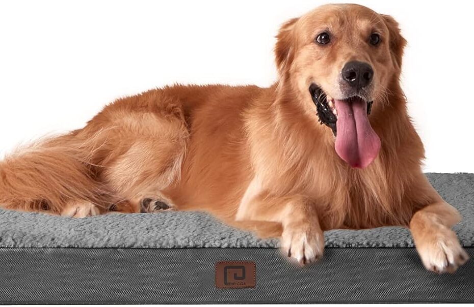 Ultimate Comfort: EHEYCIGA XL Orthopedic Dog Bed Review