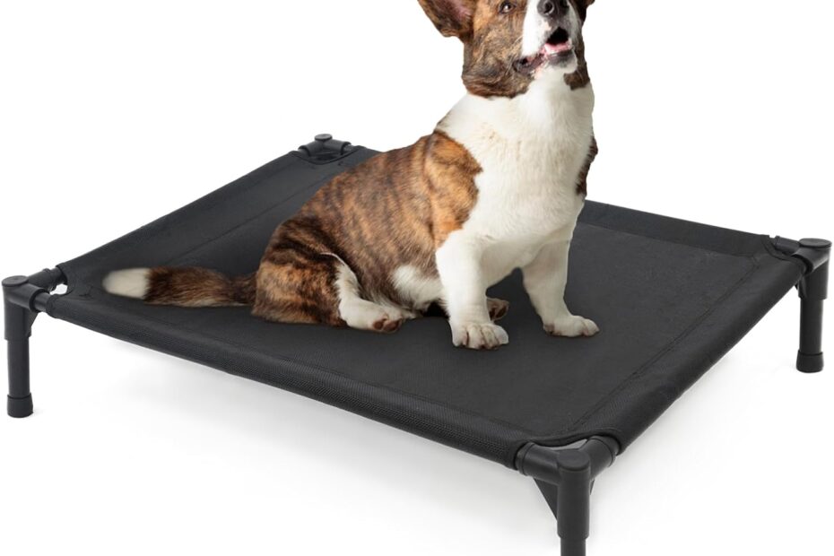 Ultimate Comfort for Medium Pups: Top Reviews of the Elevated Dog Bed