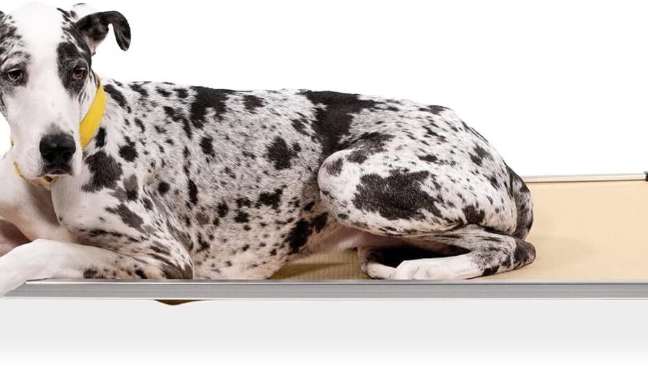 Ultimate Comfort for Tough Chewers: K9 Ballistics Elevated Dog Bed Review