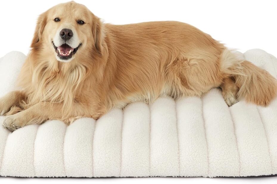 Ultimate Comfort for Your Big Pup: Lesure XL Orthopedic Dog Bed Review