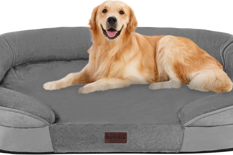 Ultimate Comfort for Your Canine: Review of the Dwanton Orthopedic Dog Bed