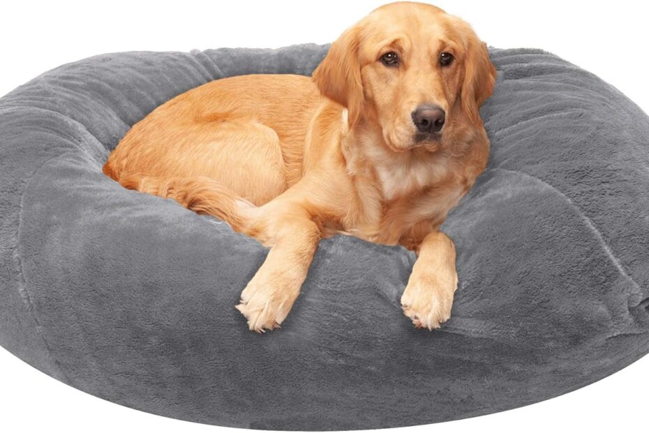 Ultimate Comfort for Your Canine: Review of the Furhaven Soft & Cozy Dog Bed