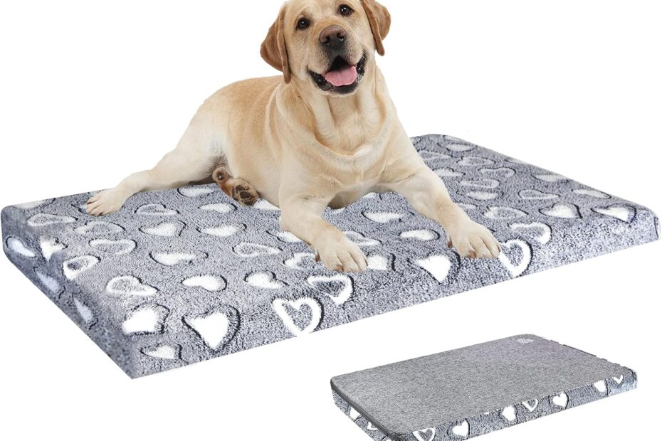 Ultimate Comfort for Your Canine: Review of the VANKEAN Stylish Dog Bed