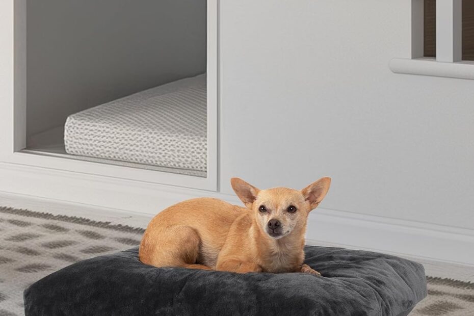 Ultimate Comfort for Your Furry Friend: OhGeni Fluffy Dog Bed Review