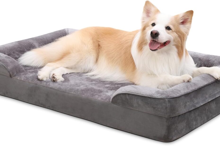 Ultimate Comfort for Your Furry Friend: The Best Large Orthopedic Dog Bed Review