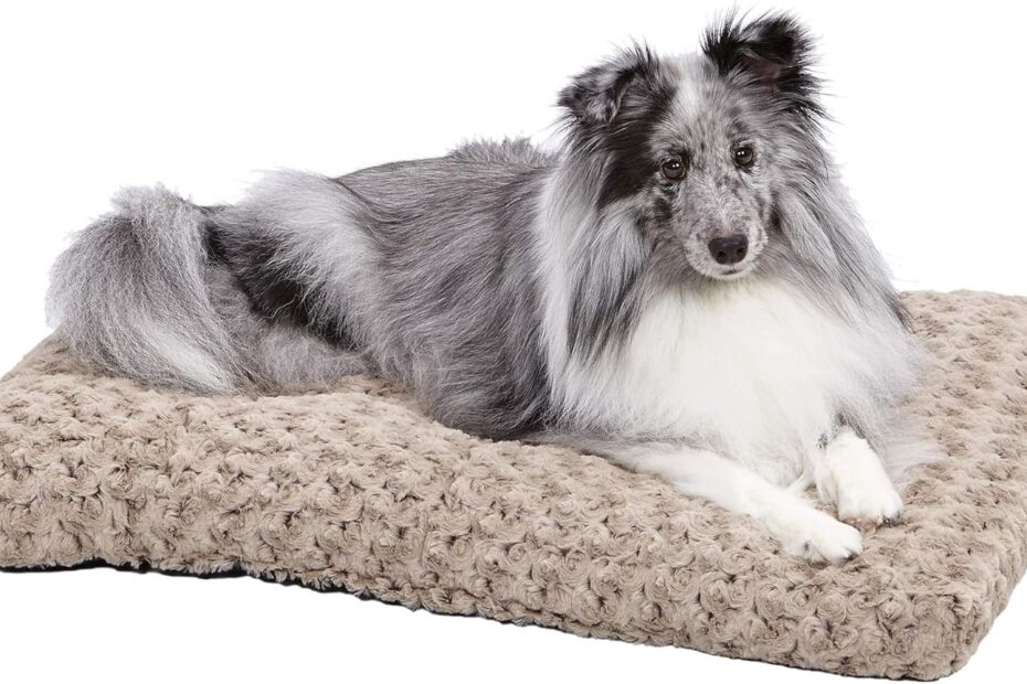 Ultimate Comfort for Your Pet: MidWest QuietTime Deluxe Bed Review