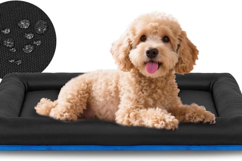 Ultimate Comfort for Your Pets: Review of the Miguel Oxford Waterproof Dog Bed
