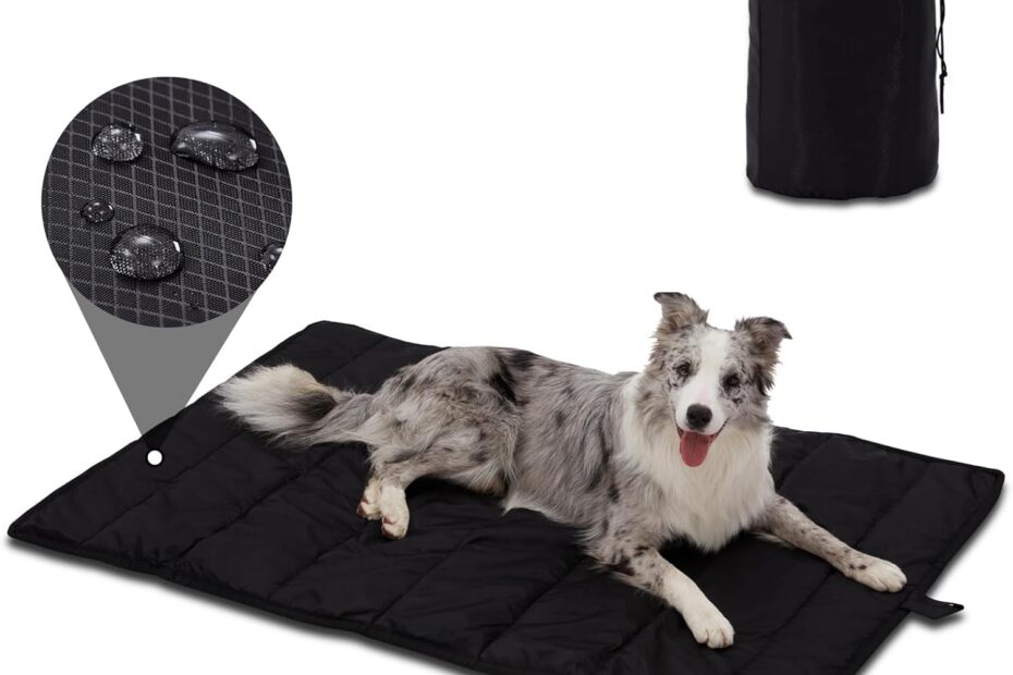 Ultimate Comfort for Your Pup: BDEUS Extra Large Waterproof Dog Bed Review