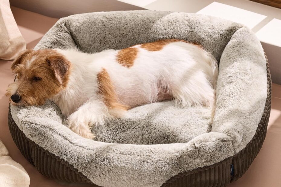 Ultimate Comfort for Your Pup: Bedsure Washable Dog Bed Review