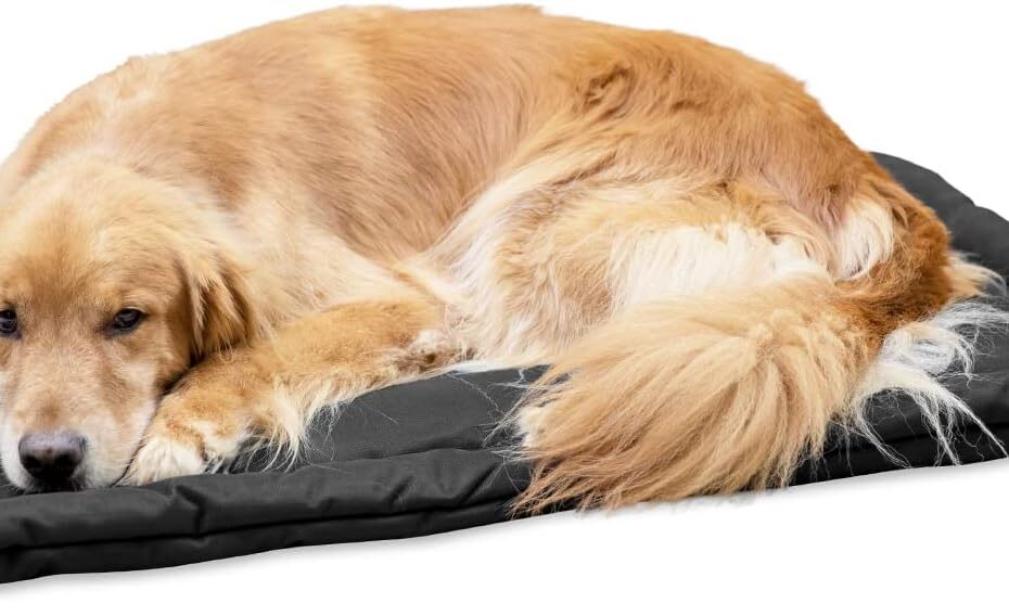 Ultimate Comfort for Your Pup: K9 Ballistics Tough Ripstop Dog Crate Pad Review