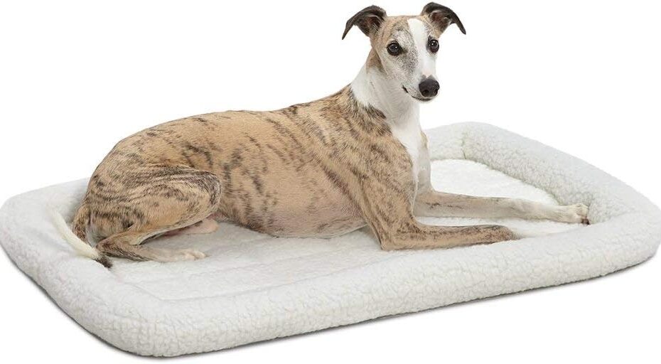 Ultimate Comfort for Your Pup: MidWest Homes QuietTime Dog Bed Review