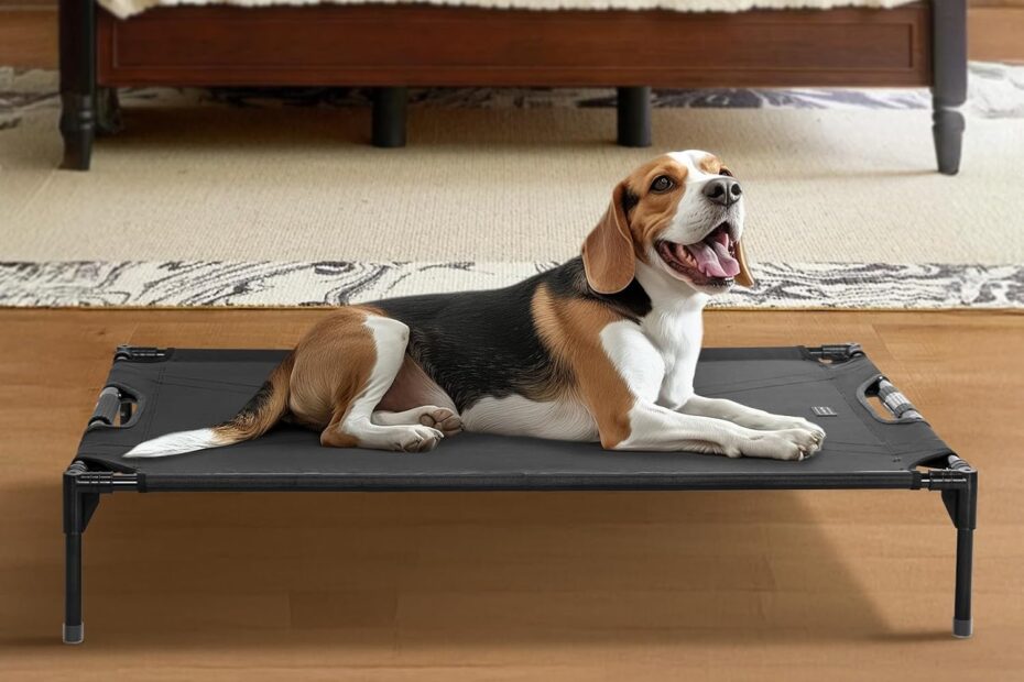 Ultimate Comfort for Your Pup: Review of Petsfit Elevated Outdoor Dog Bed