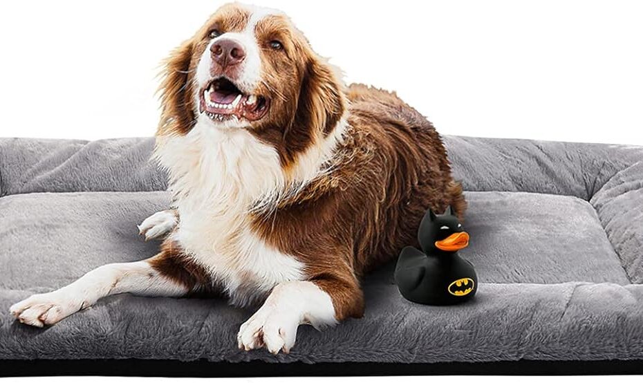 Ultimate Comfort for Your Pup: Review of the 48" Extra Large Dog Bed Crate Pad