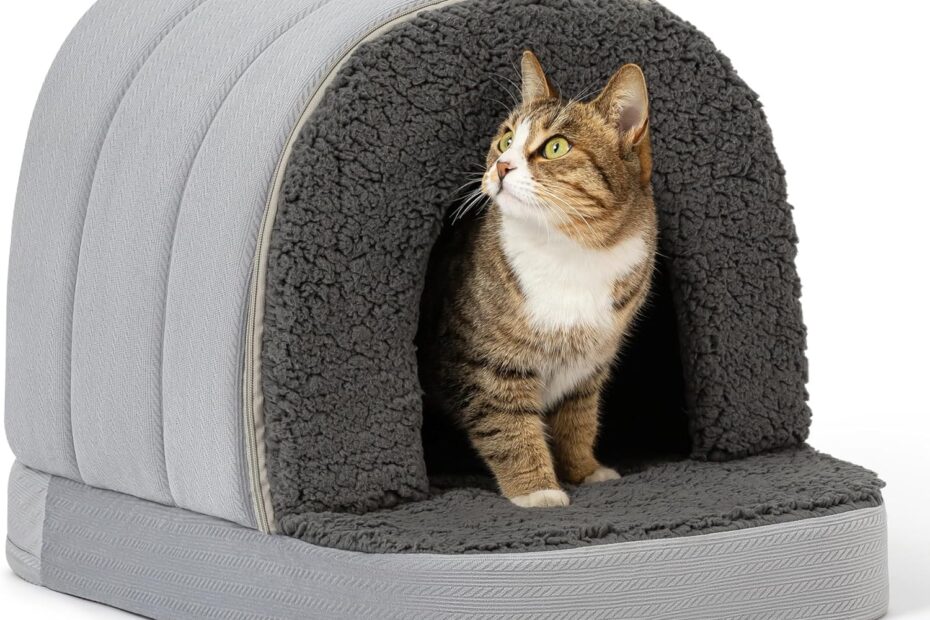 Ultimate Comfort for Your Pup: The Orthopedic Dog Bed House Review