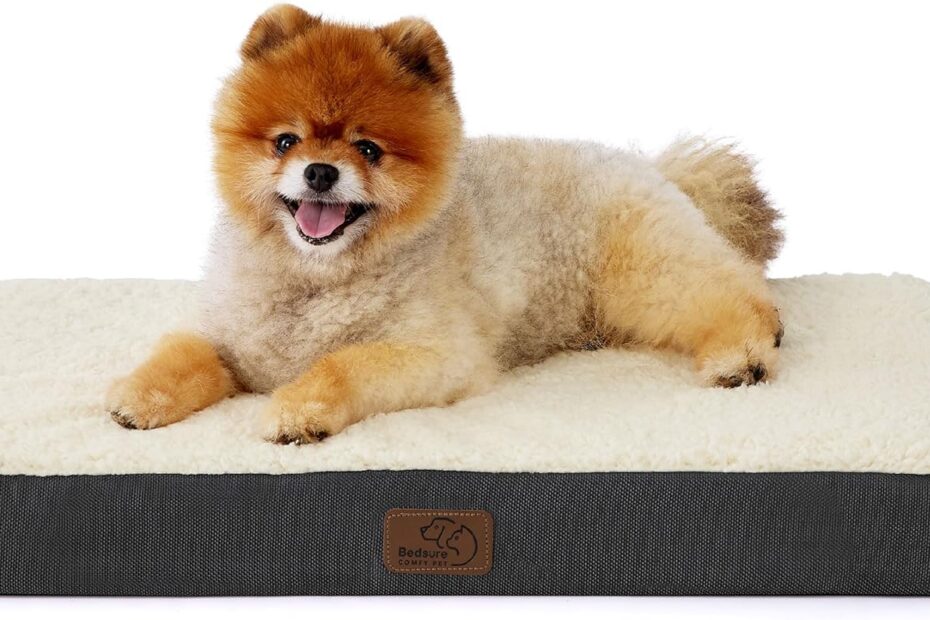 Ultimate Comfort for Your Small Pup: Bedsure Orthopedic Dog Bed Review
