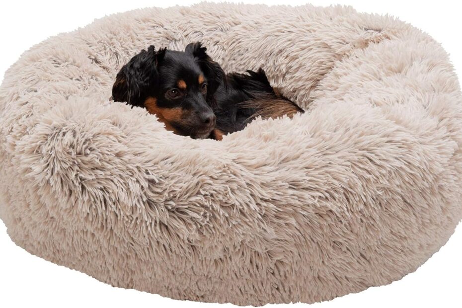 Ultimate Comfort: Furhaven 30" Round Calming Donut Dog Bed Review