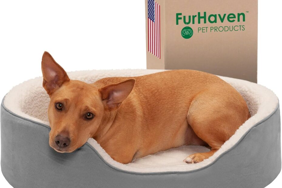 Ultimate Comfort: Furhaven Orthopedic Dog Bed Review for Large & Medium Pooches