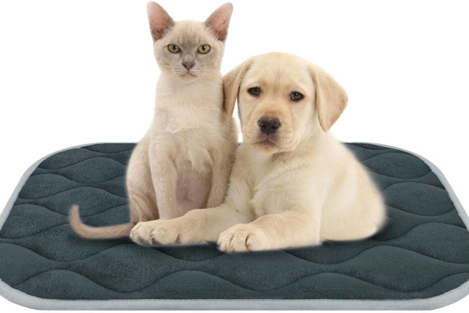 Ultimate Comfort: FURRYBABY Dog Crate Pad Review - Perfect for Your Pup!