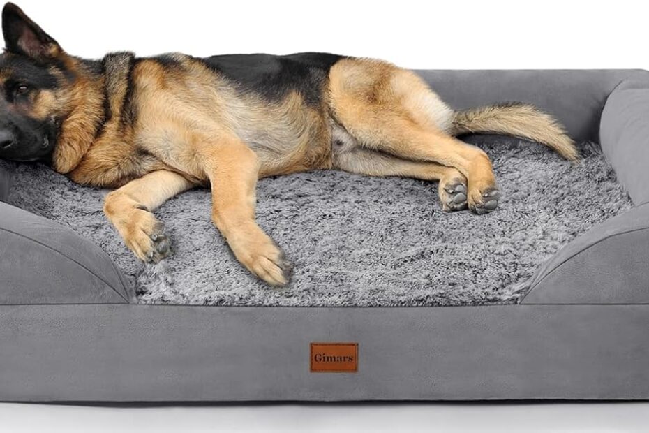 Ultimate Comfort: Gimars Orthopedic Dog Bed Review for Big Dogs