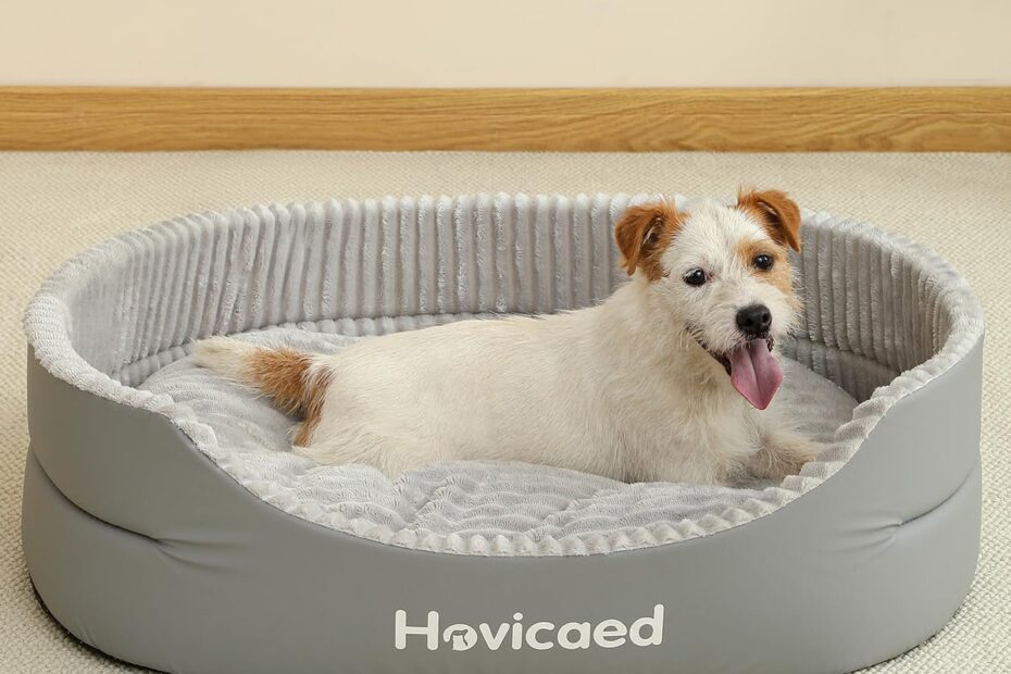 Ultimate Comfort: Hovicaed Waterproof Dog Beds for Small Dogs Review