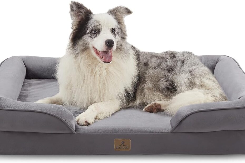 Ultimate Comfort: Insight into the Bedfolks Orthopedic Dog Bed for Large Breeds
