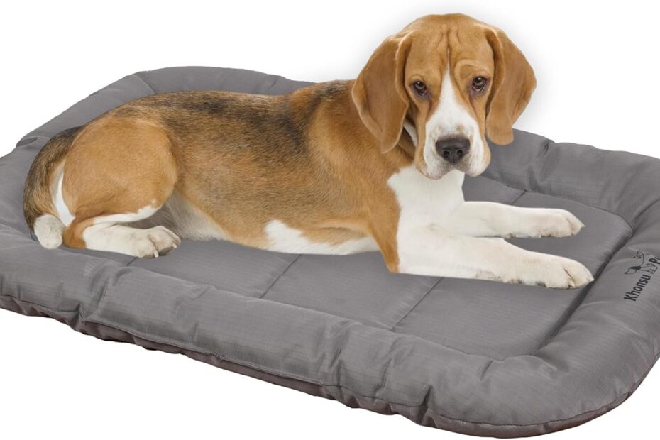 Ultimate Comfort: KHONSU PET Durable Dog Bed Review for Tough Chewers