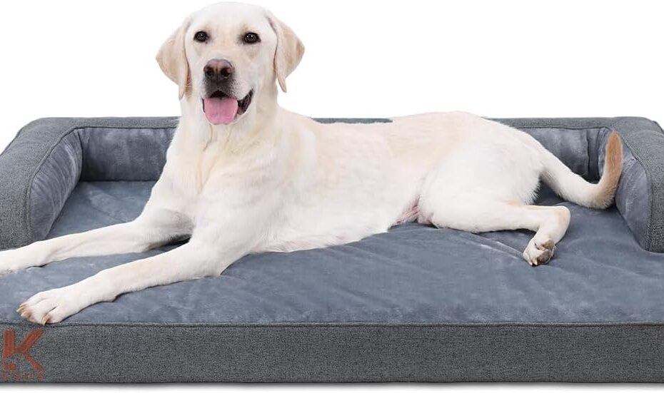 Ultimate Comfort: KSIIA Orthopedic Dog Bed Review for Large Pups!