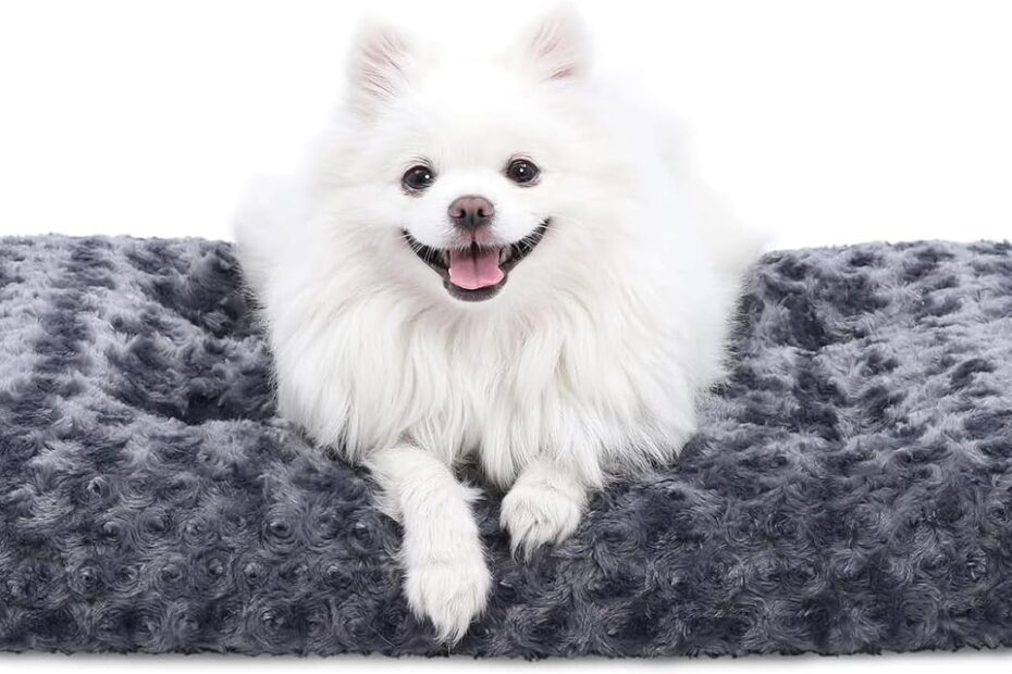 Ultimate Comfort: KSIIA Washable Dog Bed Review for Every Breed!
