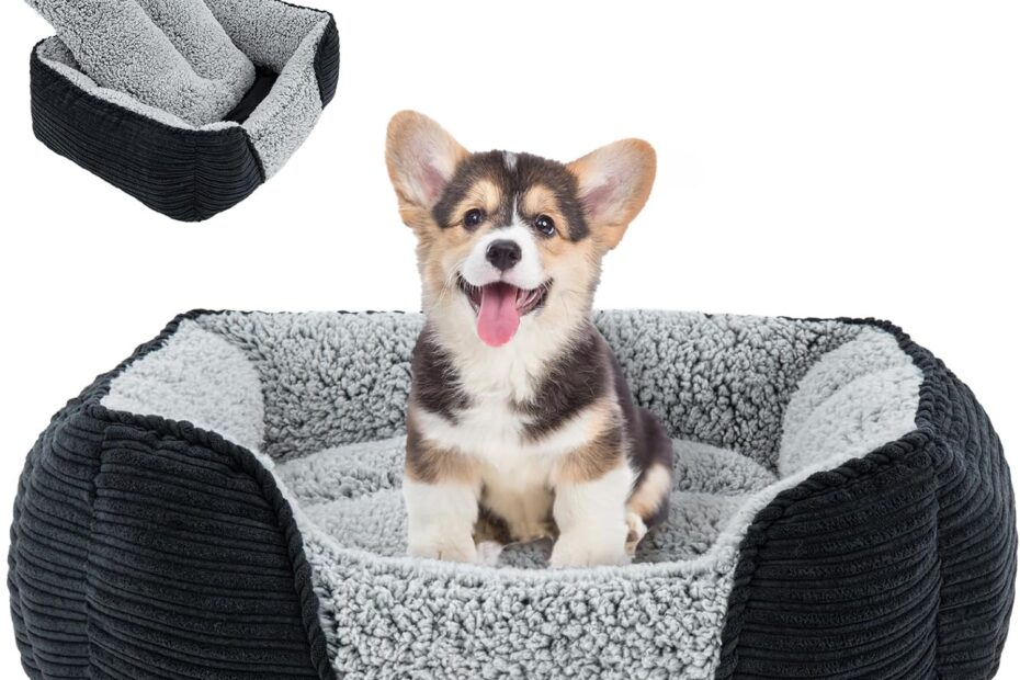 Ultimate Comfort: Miguel Washable Dog Bed Review for Small Paws