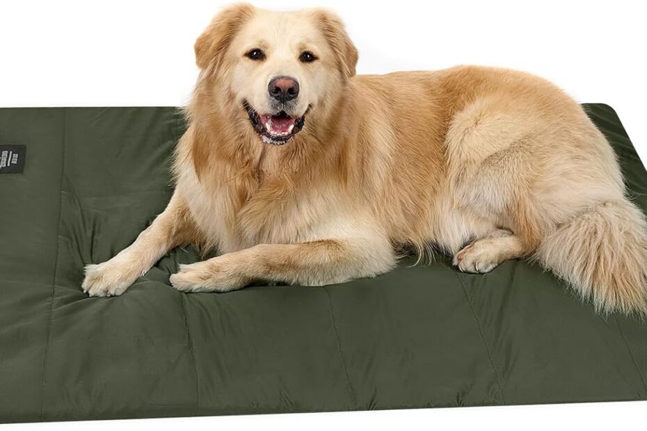 Ultimate Comfort: ONETIGRIS Large Washable Dog Bed Review