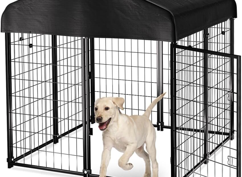 Ultimate Comfort: PawGiant Outdoor Dog Kennel Review for Medium to Small Breeds
