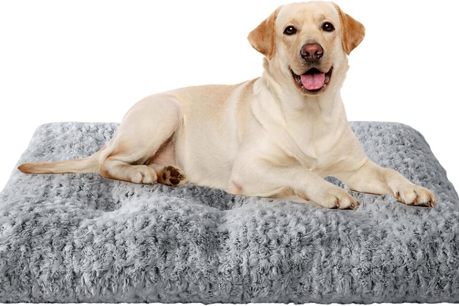 Ultimate Comfort: Review of JOLLYVOGUE's Deluxe Washable Dog Bed