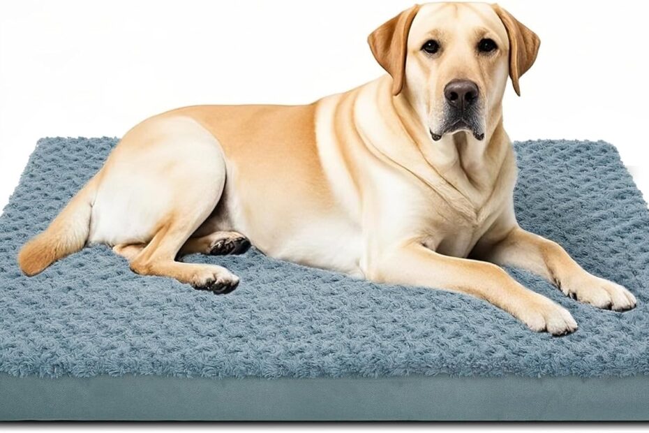 Ultimate Comfort: Review of Orthopedic Dog Beds for Crate
