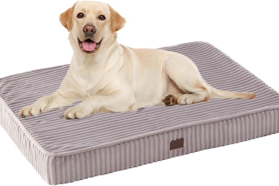 Ultimate Comfort: Review of Our Favorite Orthopedic Dog Bed!