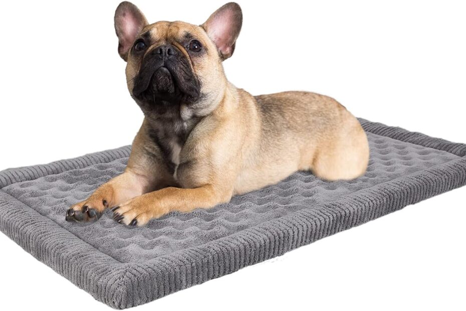 Ultimate Comfort: Review of the 30x19 Inch Gray Memory Foam Dog Crate Pad