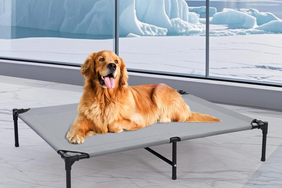 Ultimate Comfort: Review of the 48'' Elevated Dog Bed for Outdoor Adventures