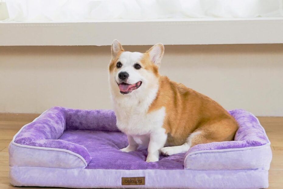 Ultimate Comfort: Review of the BELLA & PAL Chew-Proof Orthopedic Dog Sofa Bed