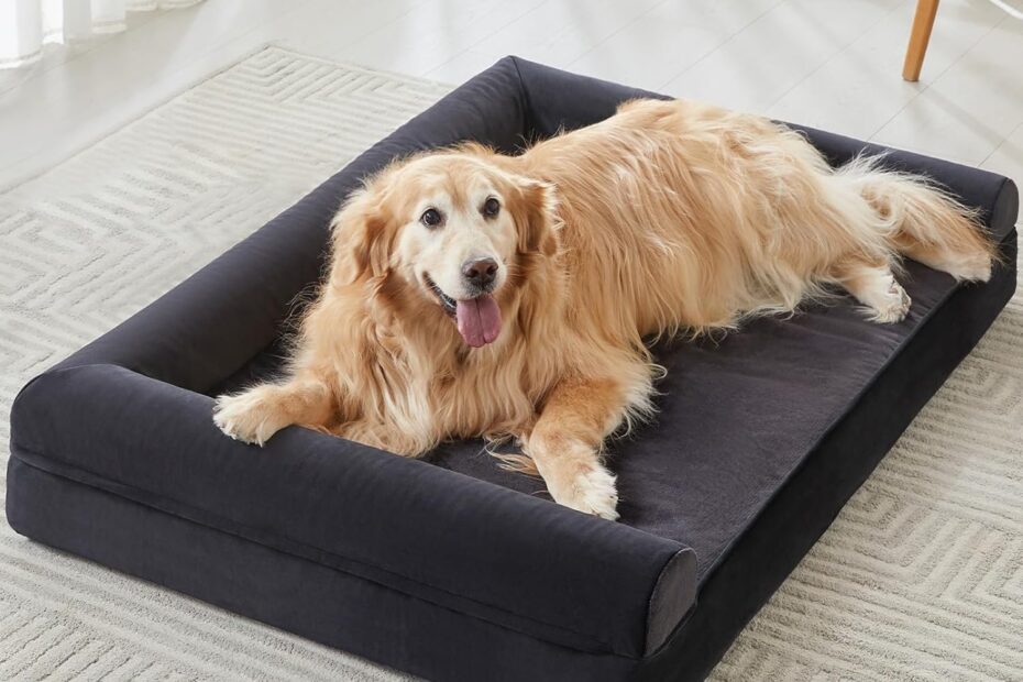 Ultimate Comfort: Review of the BFPETHOME Orthopedic Washable Dog Bed for Large Dogs