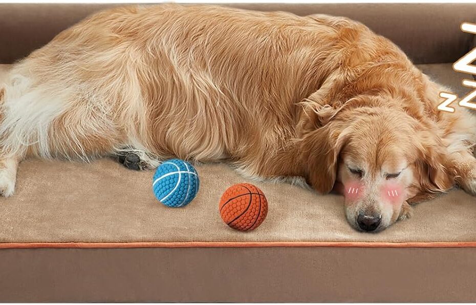 Ultimate Comfort: Review of the BFPETHOME Washable Large Dog Bed