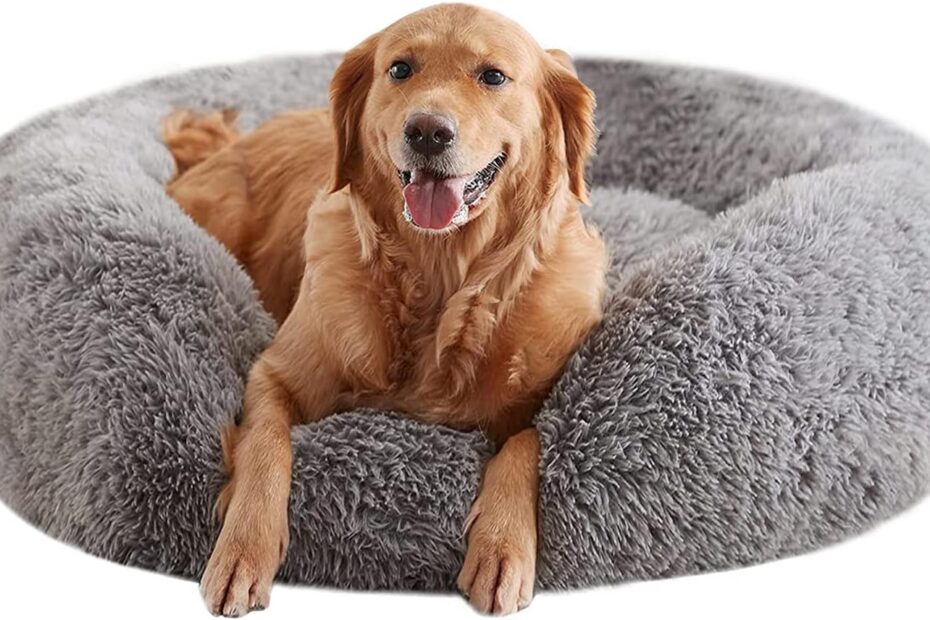 Ultimate Comfort: Review of the Calming Dog Bed for Large Dogs