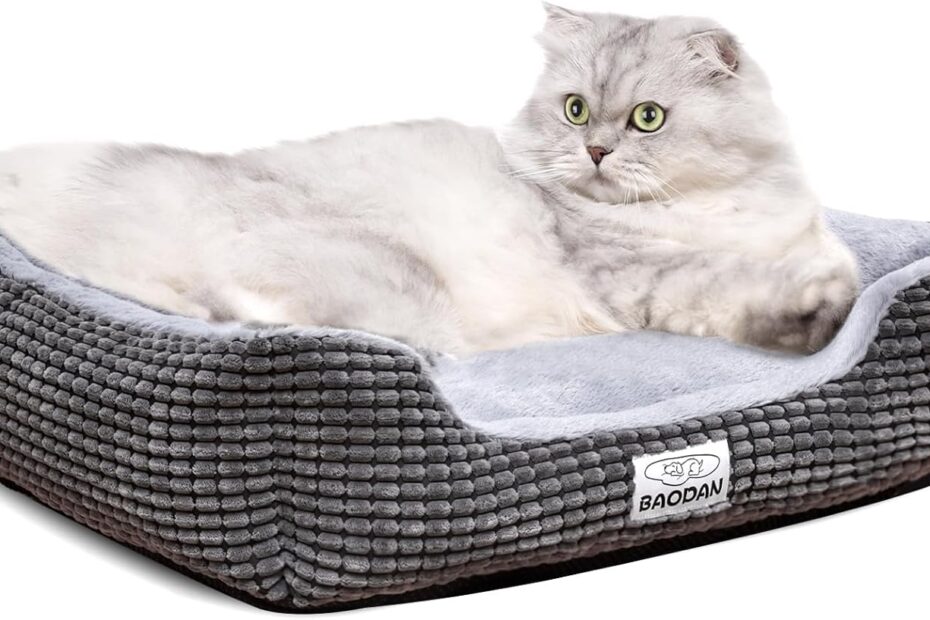 Ultimate Comfort: Review of the Calming Small Dog & Cat Bed