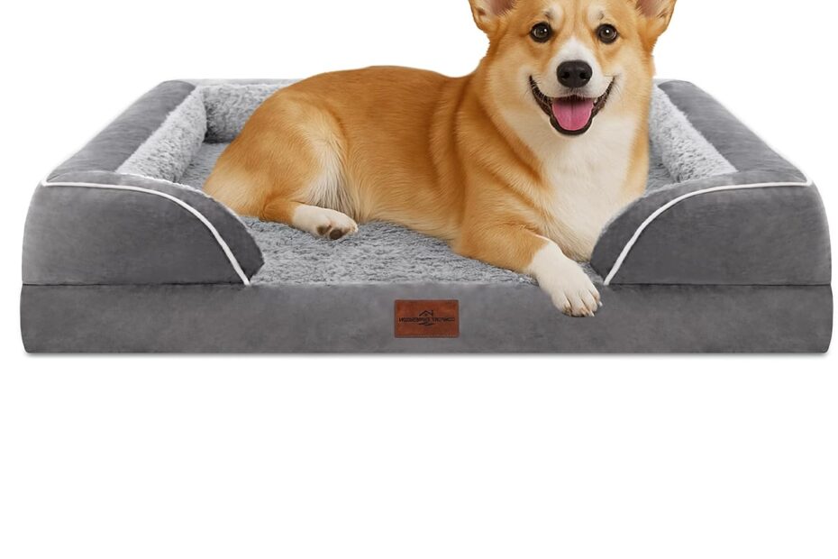 Ultimate Comfort: Review of the Comfort Expression Waterproof Orthopedic Dog Bed