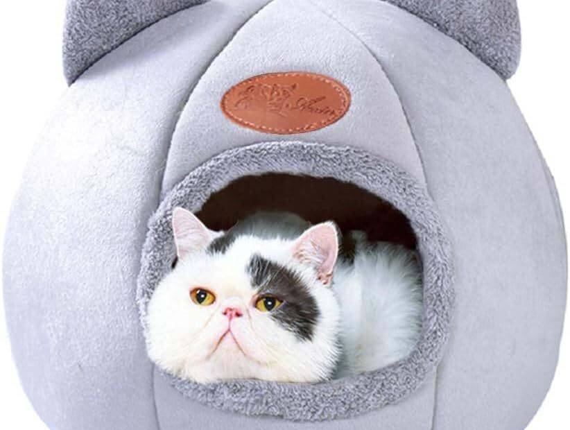 Ultimate Comfort: Review of the Cozy Cat Cave Bed for Your Feline Friends