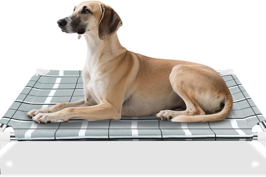 Ultimate Comfort: Review of the Elevated Raised Outdoor Dog Bed