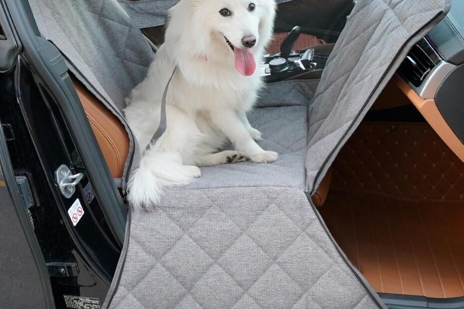 Ultimate Comfort: Review of the Front Seat Dog Car Seat for Small & Medium Pets