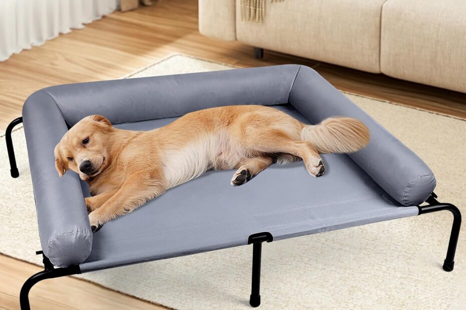 Ultimate Comfort: Review of the Indestructible Elevated Dog Bed with Pillows