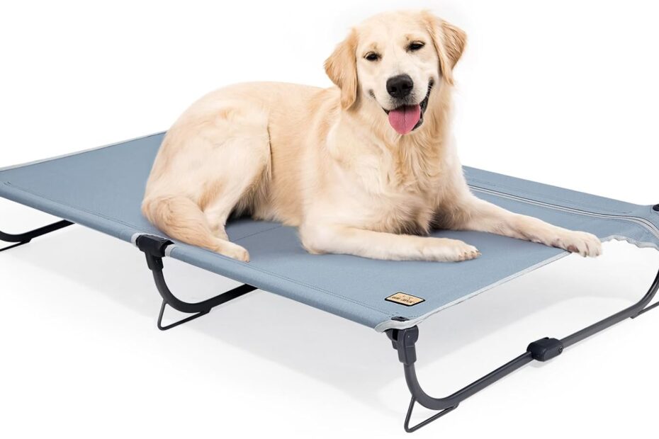 Ultimate Comfort: Review of the Large Foldable Daisy Cot for Your Pooch!