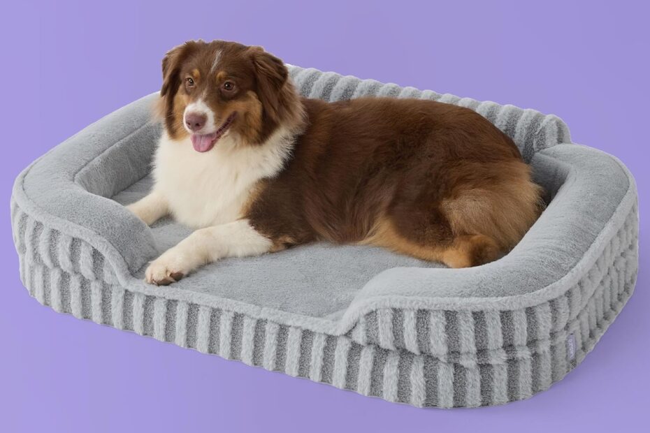 Ultimate Comfort: Review of the LE SURE Orthopedic Dog Bed for Large Pets