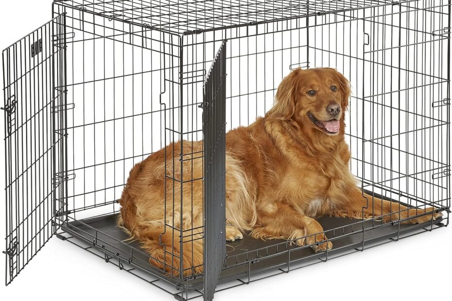 Ultimate Comfort: Review of the MidWest Homes 42-Inch Folding Dog Crate